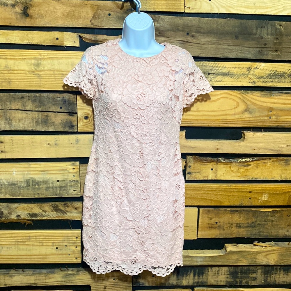 Ralph Lauren LRL Lauren Powder Pink Floral Lace Sheath Dress Women's Size 4P